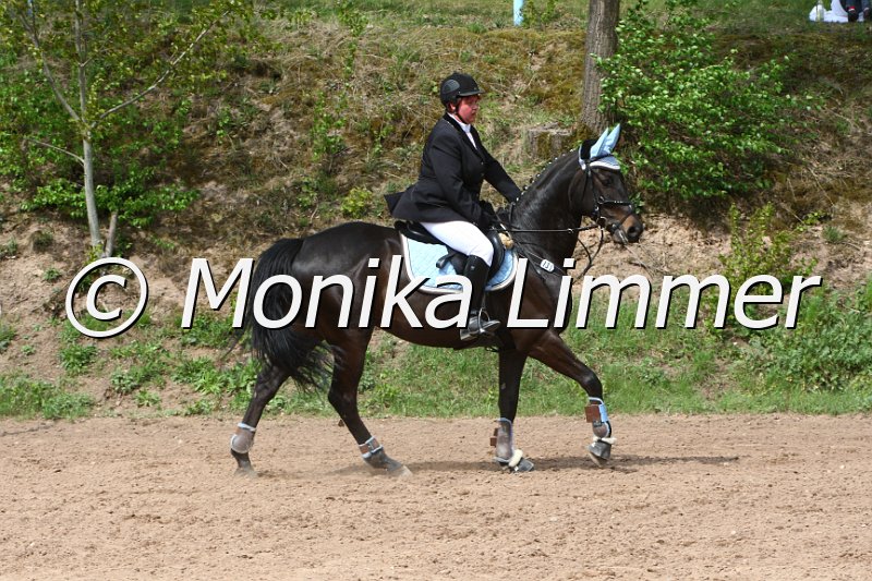 004M2290_J_Dremes S_Stilspring WB.JPG